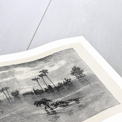 View below Kafr Zayat Showing the Railway Bridge and Train Off the Line Inundation of the Nile by Anonymous
