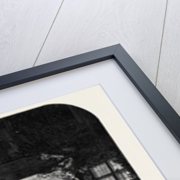 Christmas Mummers by Anonymous