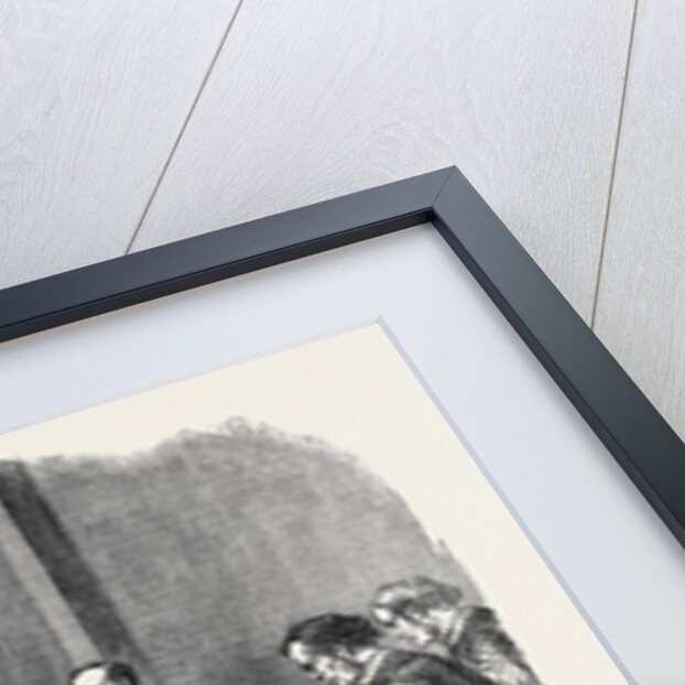Reception of the Body by the Clergy at the Entrance of St. George's Chapel the Funeral of His Late Royal Highness the Prince Consort Prince Albert by Anonymous