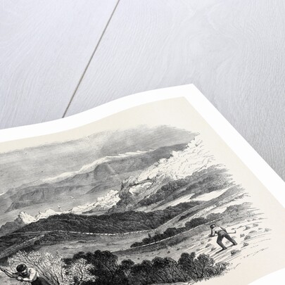Garibaldi Digging Roots in His Favourite Garden Caprera by Anonymous