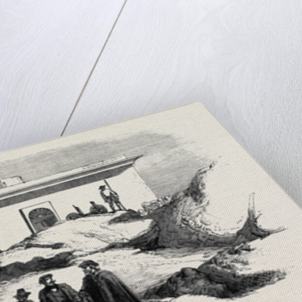 A Walk in Garibaldi's Back Garden Caprera by Anonymous