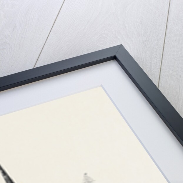 Cages on the Tower of Lamberti Church Münster in which the Remains of John of Leyden Knipperdoling and Krechting Were Hung by Anonymous