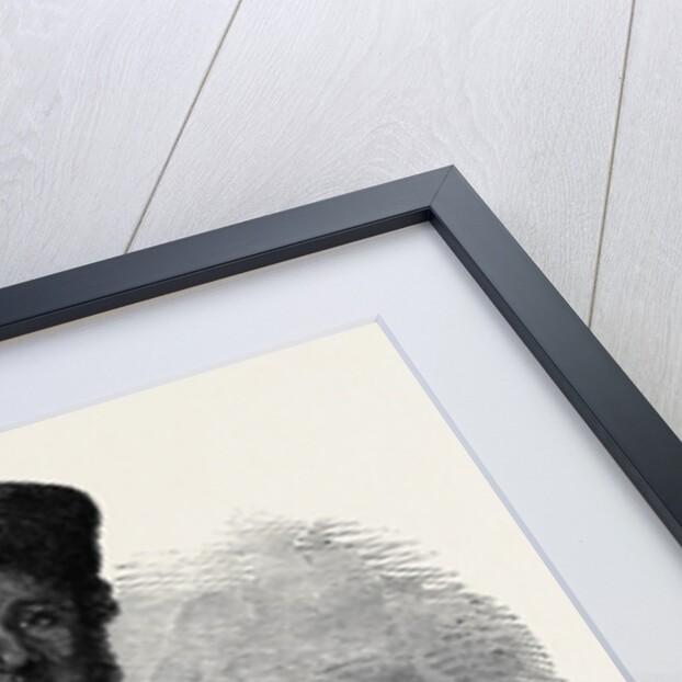 John Anderson the Fugitive Slave in Canada by Anonymous