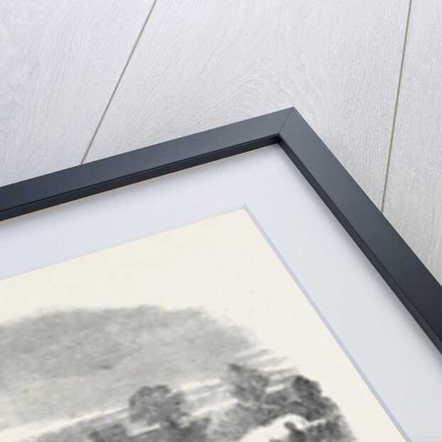 The Volunteer Movement: Review of the Cambridge University Volunteers and the Inns of Court Corps at Cambridge by Colonel M'Murdo in the Presence of the Prince of Wales 1861 by Anonymous