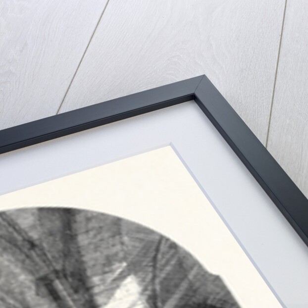 The Dom Münster Westphalia, in the Exhibition of the Old Water Colour Society 1861 by Anonymous