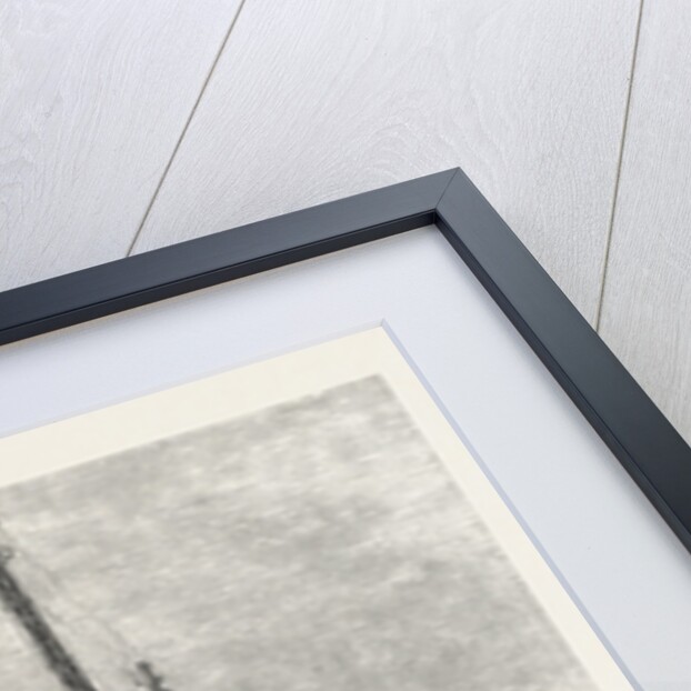 Telegraph Wires in the Desert by Anonymous