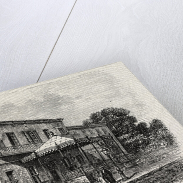 Shephard's Hotel by Anonymous