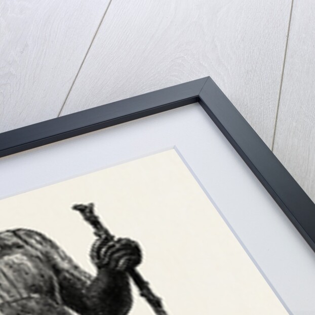 The Sheykii-el-beled by Anonymous