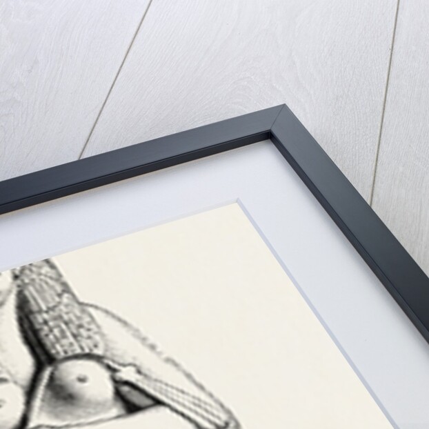 The Queen Ameniritis by Anonymous