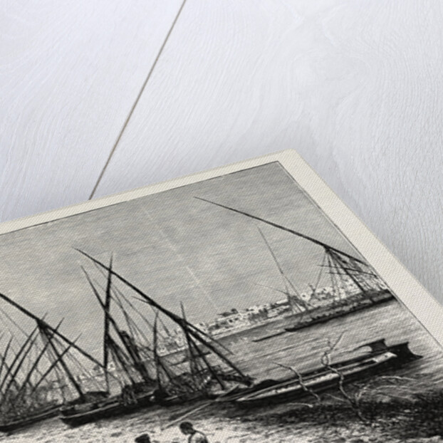 Banks of the Nile by Anonymous