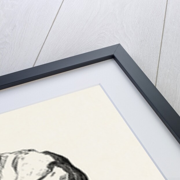 Public Letter-writers by Anonymous