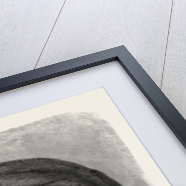 A Learned Cairene by Anonymous