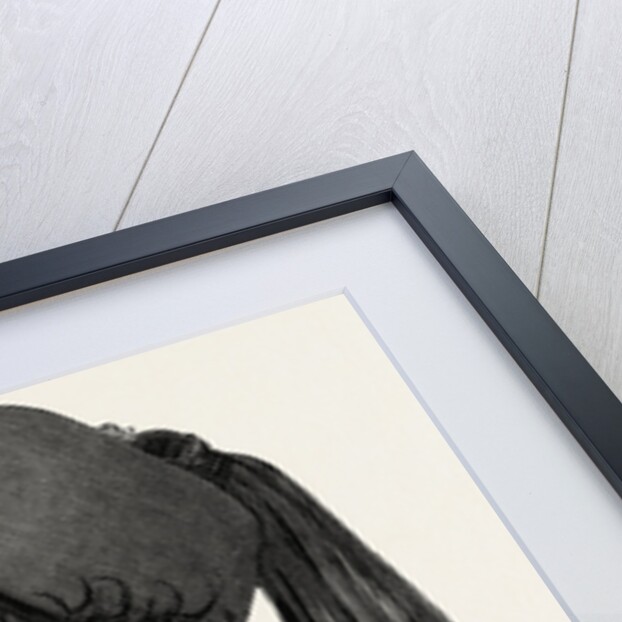 Father's Darling by Anonymous