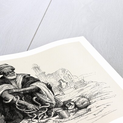 Snake-charmer by Anonymous