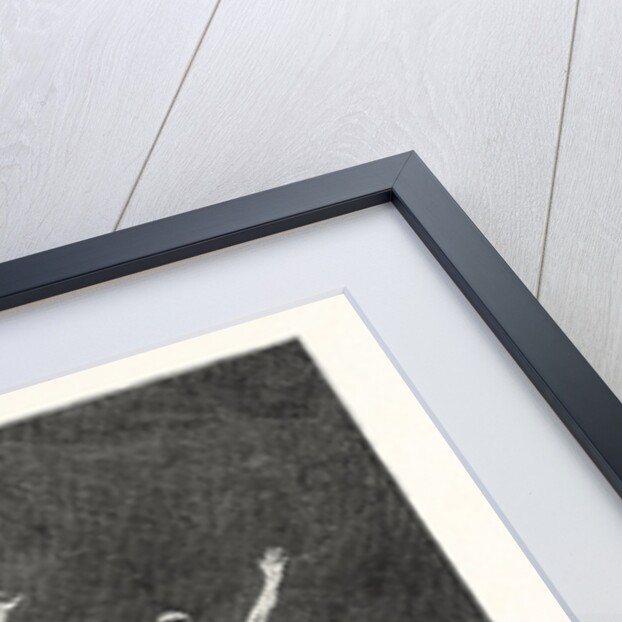 Zikr With Whirls by Anonymous