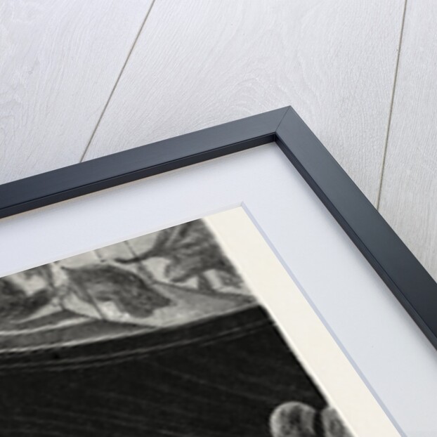 Tent of a Dignitary by Anonymous