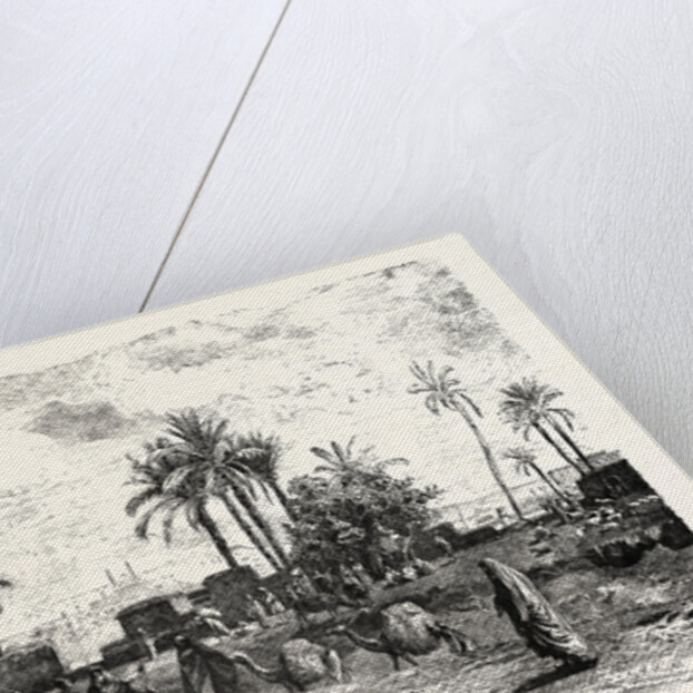 Cairo; From The Left Bank of the Nile by Anonymous