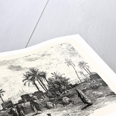 Cairo; From The Left Bank of the Nile by Anonymous
