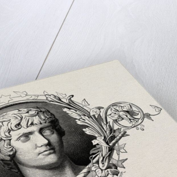 Egypt, Ornament, Engraving 1879 by Anonymous