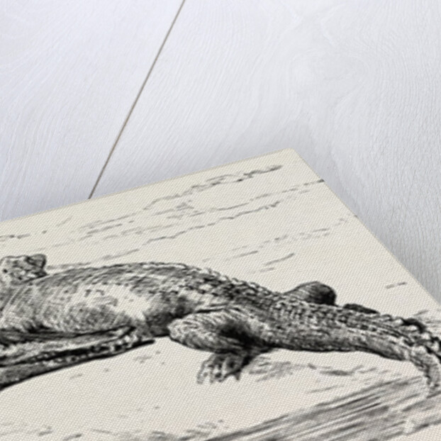 On The Thebes by Anonymous