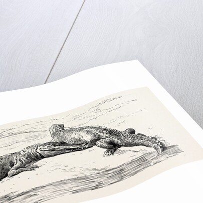 On The Thebes by Anonymous