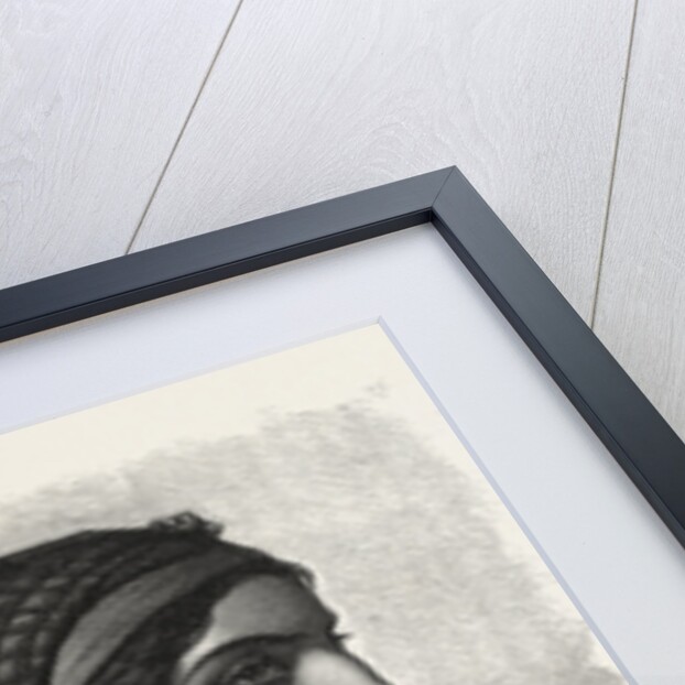 A Koptic Woman by Anonymous