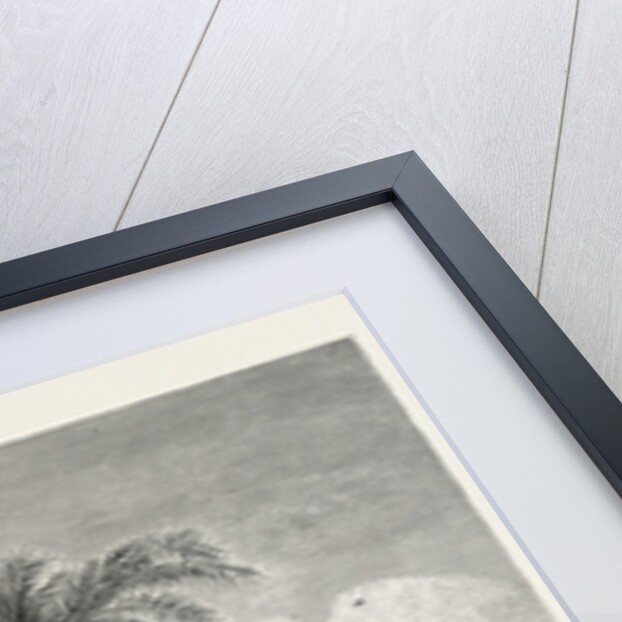 Bank of the Nile in the Neighbourhood of Abydos by Anonymous