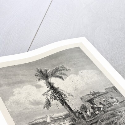 Bank of the Nile in the Neighbourhood of Abydos by Anonymous