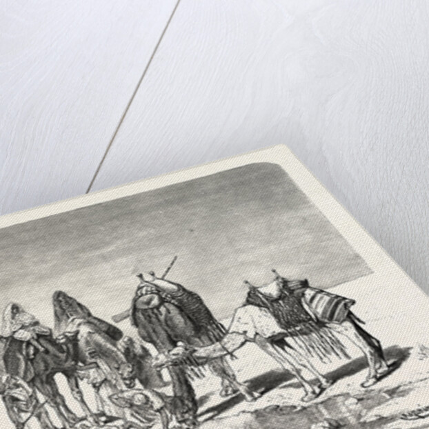 A Spring in the Desert by Anonymous