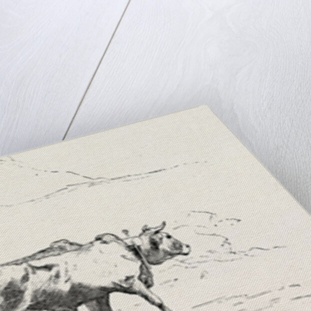 Transport of Stone by Anonymous