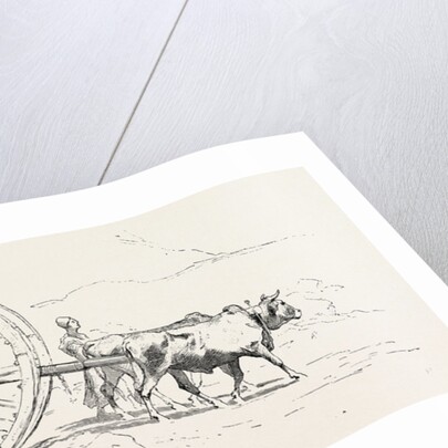 Transport of Stone by Anonymous