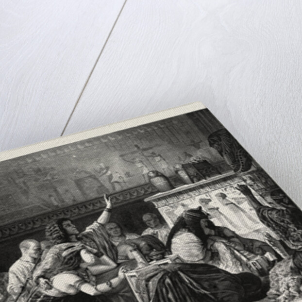 The Last Honours by Anonymous