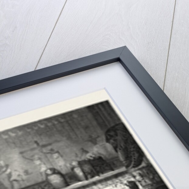 The Last Honours by Anonymous