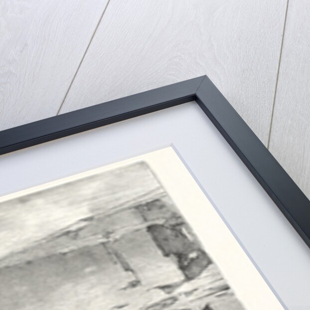 Temple of Deyr-el-bahree by Anonymous