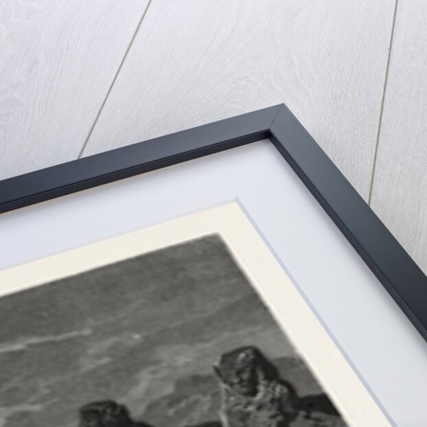 Sekhet Statues Near The Temple of Mut, Karnak by Anonymous