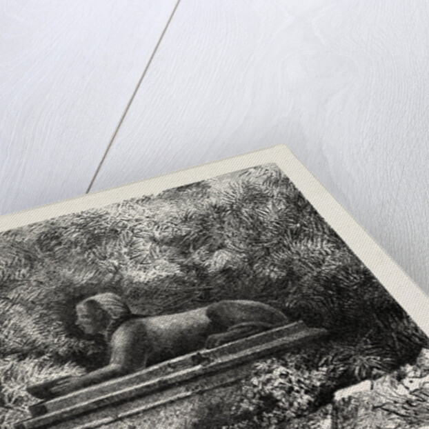 Sphinx at Karnak by Anonymous