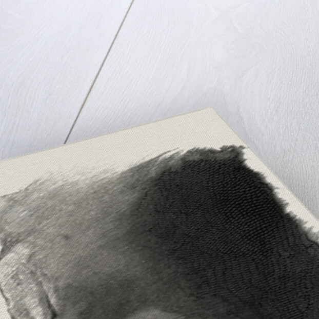 Head of Queen Nefertari by Anonymous