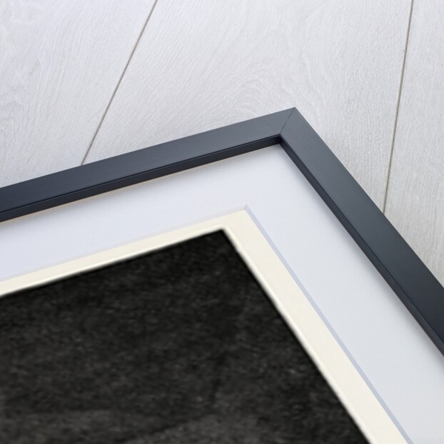 Sarcophagus in the Tomb of Rameses by Anonymous