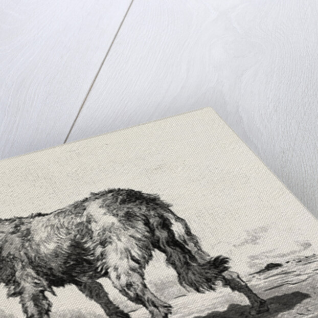 A Dog at Erment by Anonymous