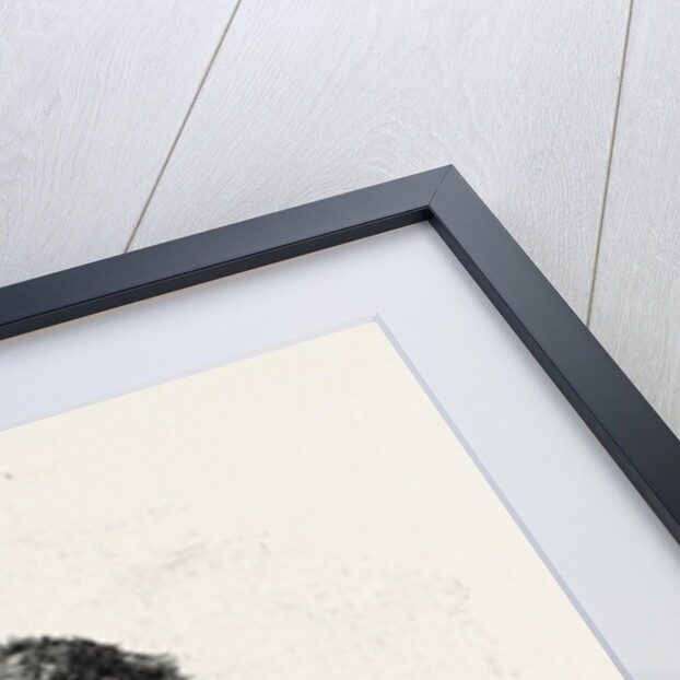 A Dog at Erment by Anonymous