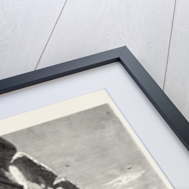 Pillared Hall of Esneh by Anonymous