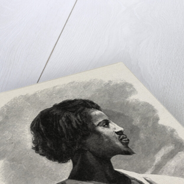 An Ababdeh Arab by Anonymous