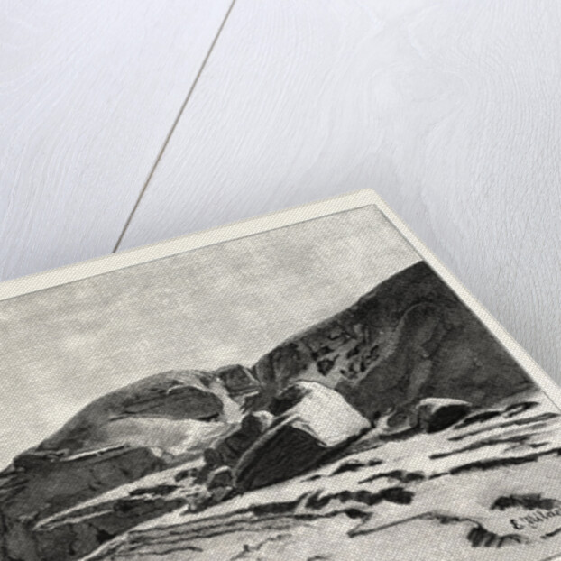 Bank of the Nile at Kom Omboo by Anonymous