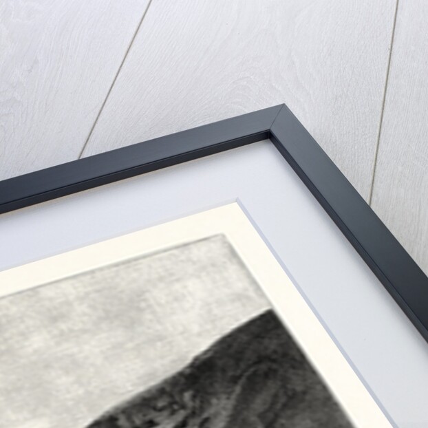 Bank of the Nile at Kom Omboo by Anonymous