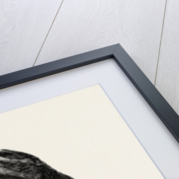 Nubian Boy of Good Family by Anonymous