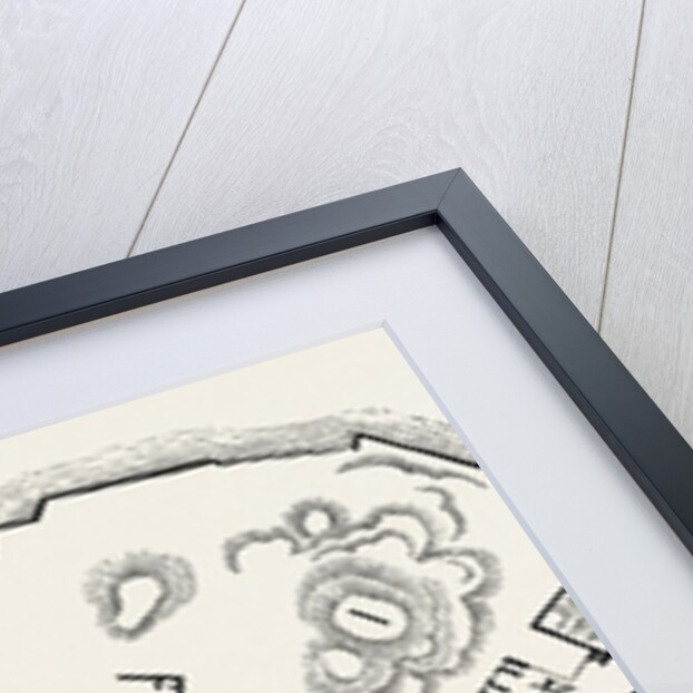 Plan of the Island of Philae by Anonymous