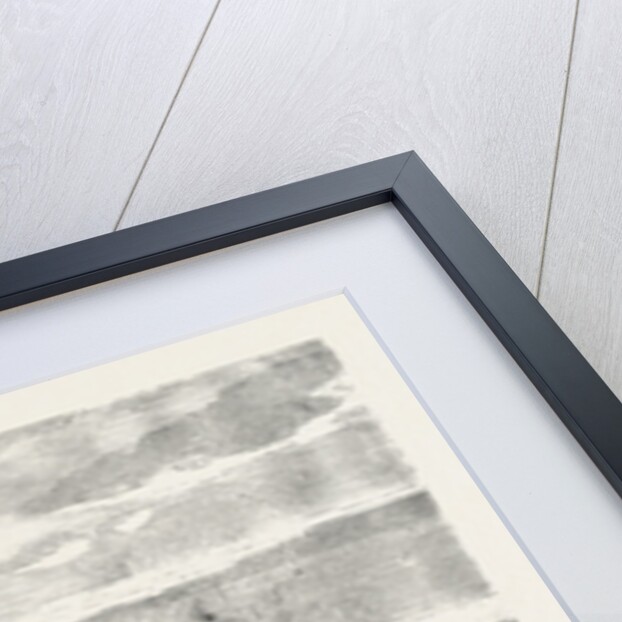 Temple of Kardusseh in Nubia by Anonymous