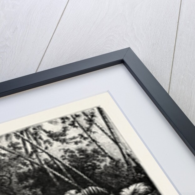 Egypt, Engraving 1879 by Anonymous