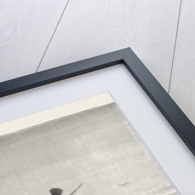 Morning in the Desert by Anonymous