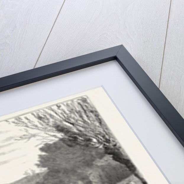 A Prussian Bivouac, 1870 by Anonymous